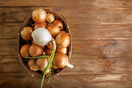 basket full of fresh onions with tops and roots on a rustic table autumn summerの写真素材