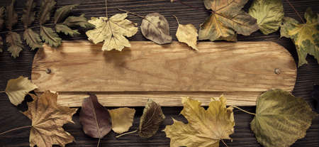 autumn leaf on wood black background (top view)