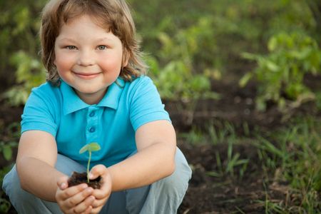 Green Sprout and Children Handsの写真素材