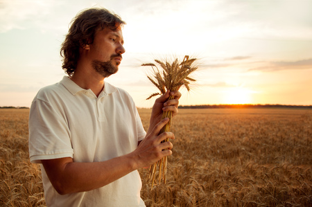 Man with wheat ears on a fieldの写真素材