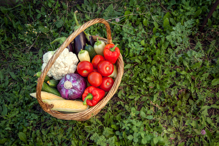 autumn vegetables in basket on a grass.の写真素材
