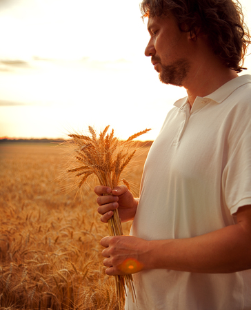 Man with wheat ears on background of field.の写真素材