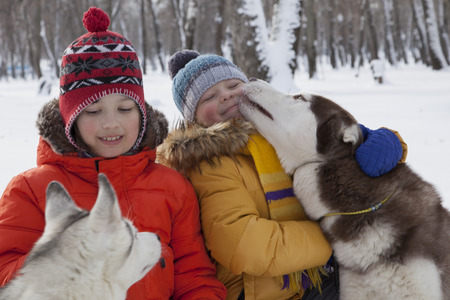 happy boy playing with dog or husky outdoors in winter day.の写真素材