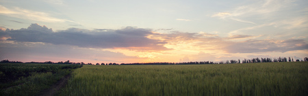 idealistic summer landscape with road and meadowsの写真素材