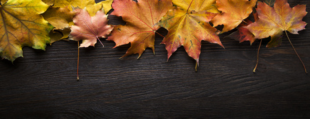 autumn leaf on wood black background (top view) orange leaf on old grunge wood deck, copy place for...