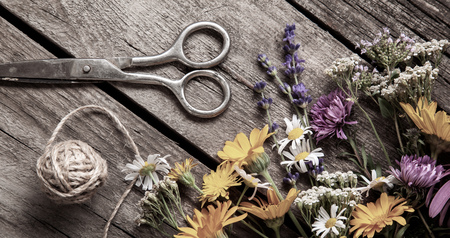 Wild flowers tangle of rope and scissors on old grunge wooden background (chamomile lupine dandelions thyme mint bells rape).の写真素材