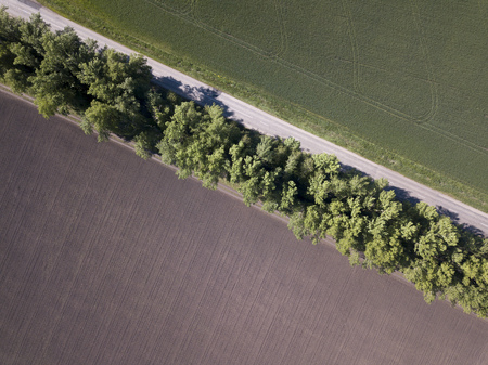 Top view of the field road with car. Aerial.