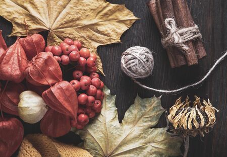 Autumn  and autumn nature berries, pumpkins and flowers on the woodenの写真素材