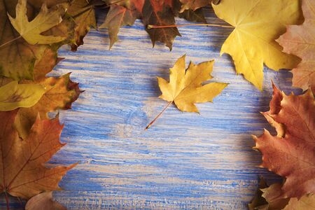 Autumn leaf frame for words and inscriptions, copy space (top view)