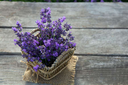 Fresh lavender over wooden Summer background.の写真素材
