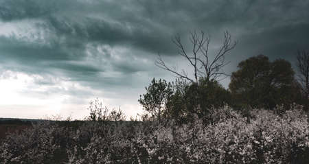 Moody Skies Over Dramatic Landscapeの写真素材