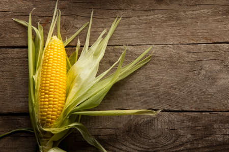 Fresh Corn on Cobs on old wooden table, top view, closeup