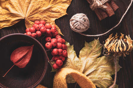Thanksgiving Autumn red and orange leaf and berry on old wood background. Top view autumn backdropの写真素材