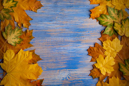 Autumn leaves Fall Rustic Wood Blue Background.