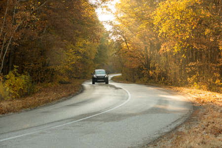 winding rual road inside colorful autumn forest with black car