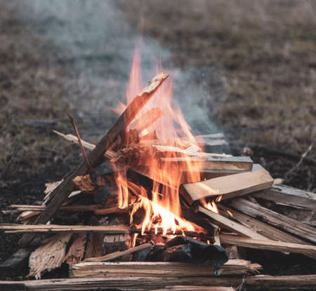 Bonfire Campfire Fire spring Forest