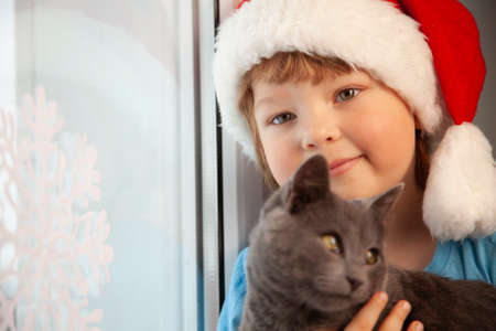 happy boy in santa hat stroking fluffy cat near windowの写真素材