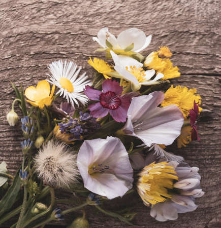 Flowers on old grunge wooden table (chamomile lupine dandelions thyme mint bells rape). Wild nature...