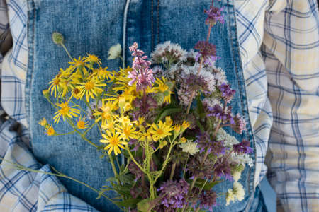 Woman's hand holding a bouquet of wildflowers bunch