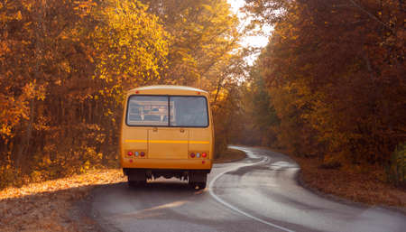 Road with school bus in beautiful autumn forest at sunset.の写真素材