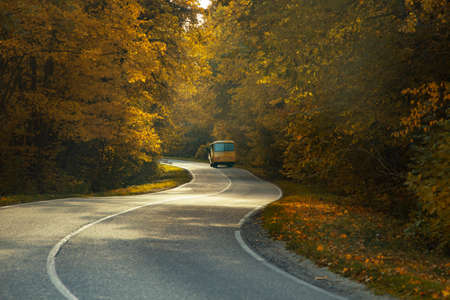 Road with school bus in beautiful autumn forest at sunset.の写真素材