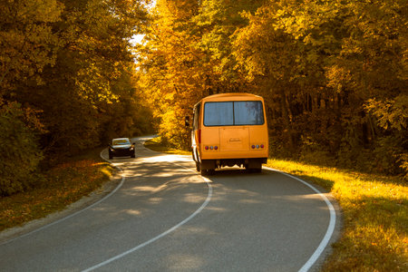 Road with school bus in beautiful autumn forest at sunset.の写真素材