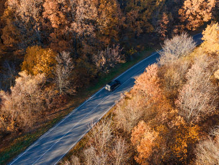 Rural road with black car in yellow and orange autumn fall forest. Aerial viewの写真素材