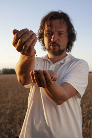 man pours wheat grains from hand to hand at wheat fieldの写真素材