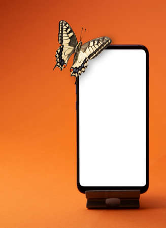 Monarch Butterfly sits on a smartphone, on orange backgroundの写真素材