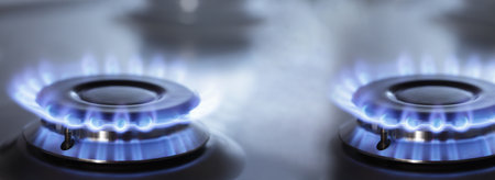 two kitchen gas cooker with burning fire propane gas