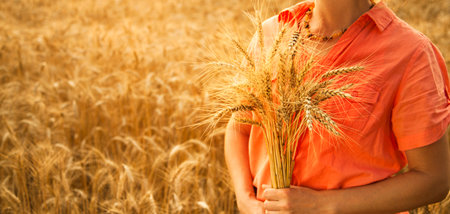 Woman in the field with wheat in the hand. sunset. summerの写真素材