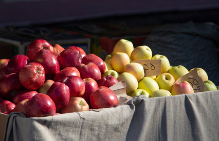 fruit market with apple, fruits and vegetables. a lot of fruits. market. store. healthy food. natural. health. VEGETARIAN. dietの写真素材