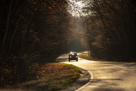 winding rual road with car inside colorful autumn forestの写真素材