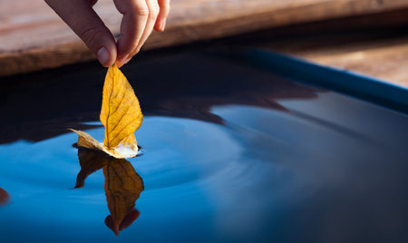 Autumn yellow leaf ship in children hand in water. Boy in park play with boat in river.の写真素材