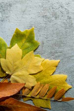 autumn leaf on wood black background (top view) orange leaf on old grunge wood deck, copy place for inscription, top view, tablet for text,の写真素材