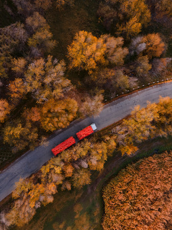 Red tipper truck on street road highway transportation. Semi-truck autumn countryside aerial view.の写真素材