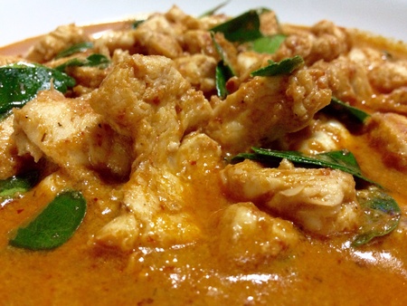 Hot spicy curry with pork. It is a very delicious of Thai food.の素材