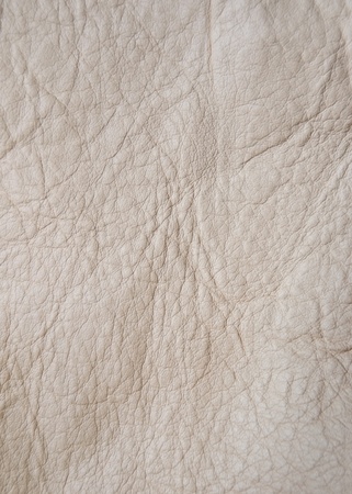 light beige genuine leather textureの写真素材