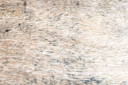 Wooden texture and background. Old and grunge brown wood surface.