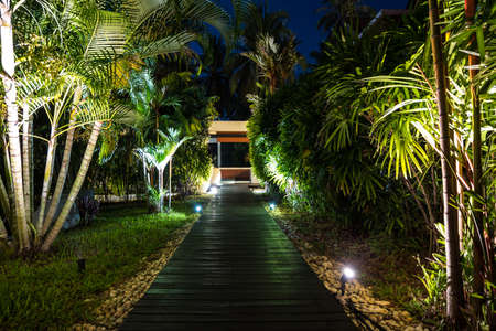 Night lighting in tropical garden,
Decorative LED lighting in garden to see the garden pathway at night with palm trees.の写真素材
