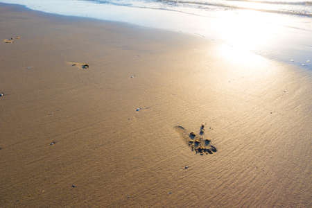 Footprints in sand at tropical beach in sunset of summer time.の写真素材