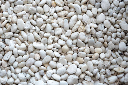 White stone texture and background in tropical garden with small tree and fall leaves.の写真素材