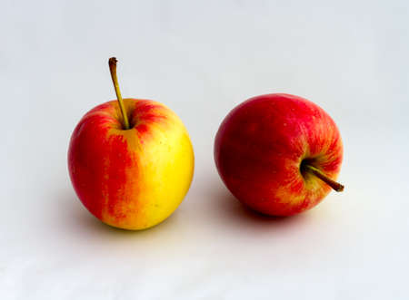 2 fresh applesの写真素材
