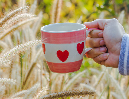 hand holding morning coffee mug in the gardenの写真素材