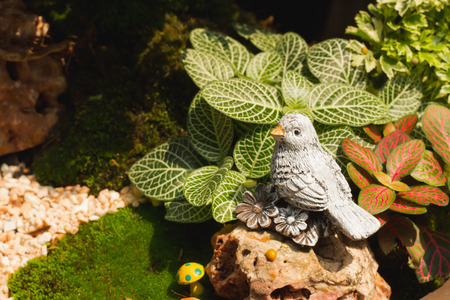 Birds decorate the garden in tray garden. In the sunの写真素材