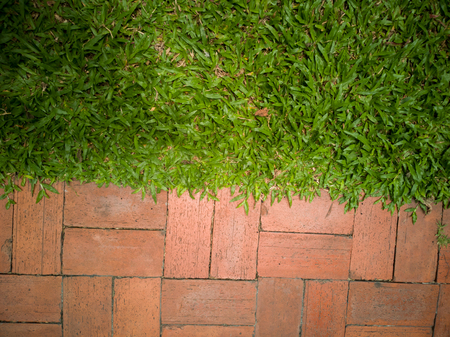 background picture garss with brik .の写真素材