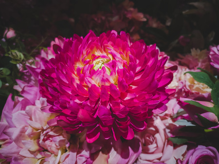 Fake flowers, big pink flowers.