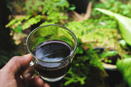 Man's hand holding a cup of hot coffee in the gardenの写真素材