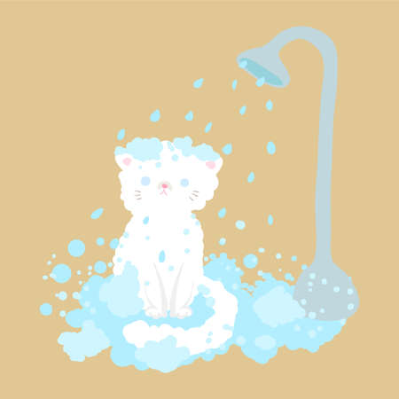 cat take a shower with bubbleのイラスト素材