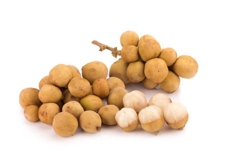 wollongong isolated on white background.の写真素材